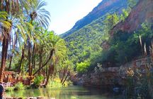 Private Guided Tour to Paradise Valley and Taghazout village 