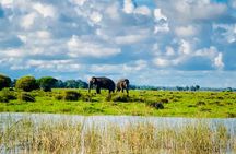 Pottuvil Lagoon Tour : Mangrove Adventure in Arugam Bay