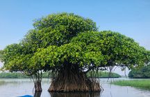 Pottuvil Lagoon Tour : Mangrove Adventure in Arugam Bay