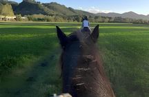 Horseback Riding Experience in the Bolognese Hills