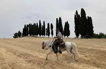 Horseback Riding Experience in the Bolognese Hills