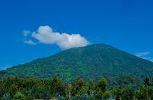 1 Day Bisoke Volcano Hike Tour from Kigali with Private 4WD