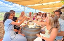 Tuscany Wine Tour: 2 Wineries & San Gimignano from Rome