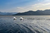 Skadar Lake: 4-Hour Guided tours on Kayak