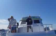 Hula Hula Island Or Orange Bay Island With Diving Experince