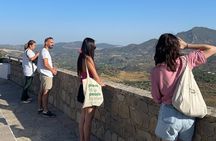 Day in Pueblos Blancos and Ronda from Seville