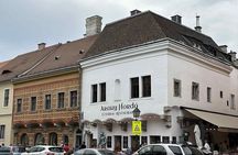 Buda Castle Tour: History and Architecture