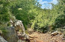 Hiking experience through untouched nature