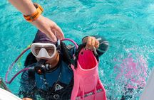 Private Two-Tank Shore Dive for Solo Cruise Travelers in Bonaire