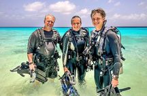 Private Two-Tank Shore Dive for Solo Cruise Travelers in Bonaire