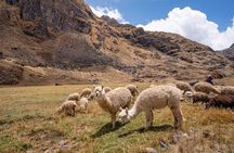  From Cusco: 1-Day Kinsa Cocha Lakes Hike - Huaynas Expeditions