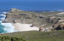 Table Mountain and Cape of Good Hope with Penguins 