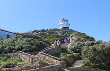 Table Mountain and Cape of Good Hope with Penguins 