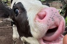 Extreme Ranch ATV Guided Tour