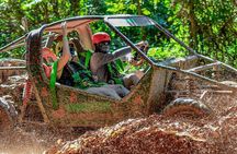 Full Experience Monkeys Cenote Cave and Plantation in Punta Cana