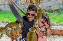 Full Experience Monkeys Cenote Cave and Plantation in Punta Cana