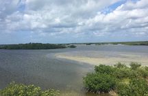 Punta Sur Eco Beach Park All Inclusive Tour by Jeep