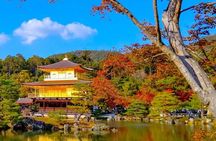Kyoto and Nara Private Customizable Day Trip by Luxury Car