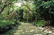 Naha: Walk Through Shikinaen, a Historic Royal Garden