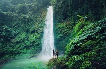 Ubud Private Tour: Waterfalls, Temple and Rice Terraces Swing 