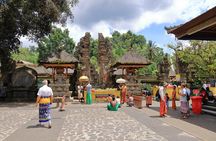 Ubud Private Tour: Waterfalls, Temple and Rice Terraces Swing 