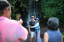 Unique Tahiti tour to Teahupoo, small group, full day combo tour