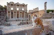 Private Daily Ephesus Tour From Istanbul With Flights