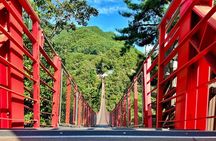 Best Korea DMZ Tour Year-Round