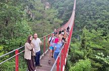 Best Korea DMZ Tour Year-Round