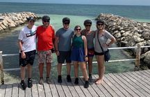 Segway Tour - Perfect for All Ages! Easy & Exciting – 1.5hr