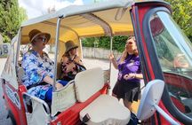 From San Gimignano: Tuscany Wine tour by Tuk Tuk with Lunch