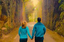 Tenerife: Hiking Tour in Anaga & Enchanted Forest with Pickup