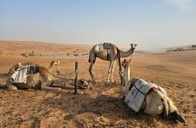 2 Day and 1 Nnight Wadi Bani Khalid and Wahiba Desert Tour