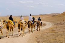 Marrakech: Camel ride & Quad Bike in Agafay Desert with Dinner