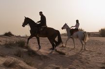 Dubai Desert Horseback Safari with Photoshoot