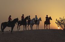Dubai Desert Horseback Safari with Photoshoot