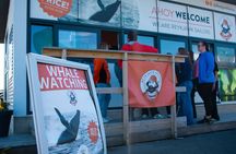 2 Hours Whale Watching Express Adventure