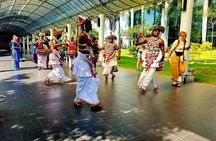 Airport Layover Colombo City Private Tour with Licensed Guide 