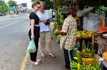 Airport Layover Colombo City Private Tour with Licensed Guide 