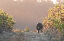 EN against rare grape varieties in the Cher Valley
