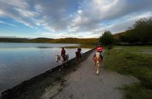 Lake Martignano Horseback Ride with Guide Near Rome