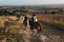 Lake Martignano Horseback Ride with Guide Near Rome