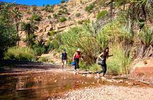 7 nights Surf & Travel Package in Morocco for all levels