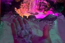 Private Tour Salt Cathedral From Bogota with local touch