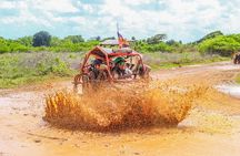 Discover Punta Cana by Buggy:MagicalCaves,Dream Beaches & Culture