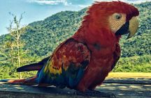 Biodiversity of Manu National Park 3 days 2 nigths