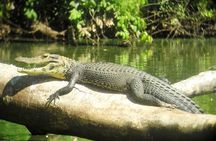 Biodiversity of Manu National Park 3 days 2 nigths