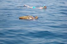 Day Cruise to Kefalonia or Ithaka and wine tasting 