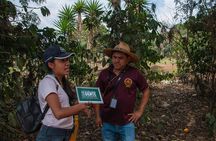 Coffee Tour in Antigua Guatemala
