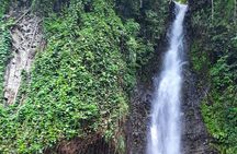 Dark View Falls - St. Vincent